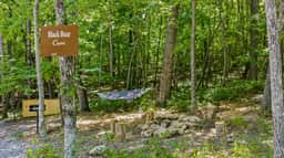 Black Bear Cave - Image 5