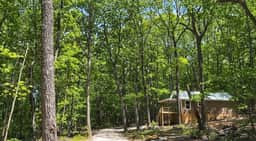 Coyote Cabin - Image 2