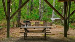 Serenity Escape Treehouse - Image 5