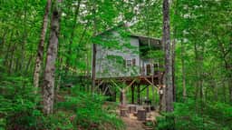Peaceful Hideaway Treehouse - Image 3