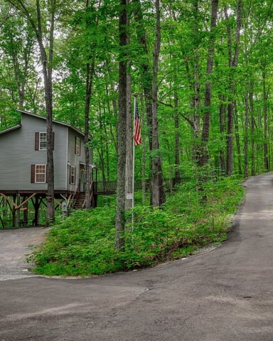 Elevated cabin with gray siding nestled among tall trees, driveway curves through dense forest with American flag visible.