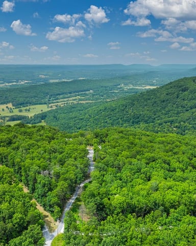 Aerial view of forested valley with winding river, green farmland, and distant mountains under blue sky