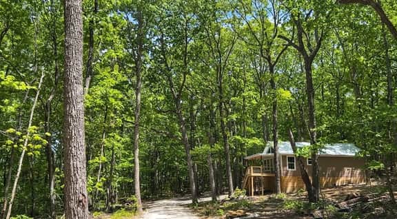 Coyote Cabin - Image 2